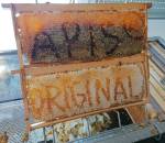 IMG_20220521_163743