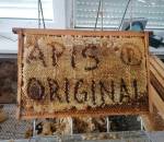 IMG_20220611_143025